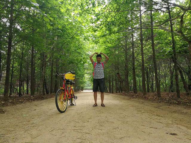 日照滨海小镇游玩攻略,日照滨海一日游