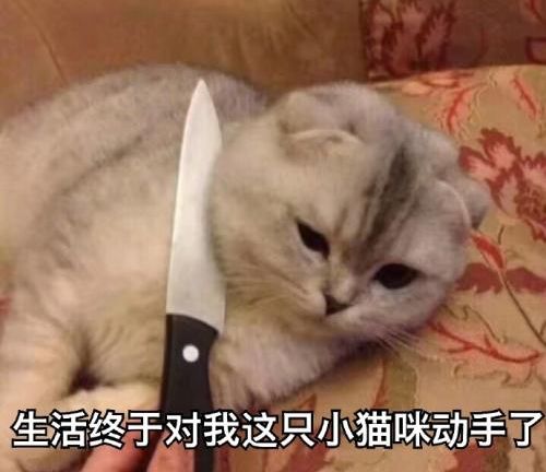 supreme发售清单2019秋冬,supreme2019秋冬发售清单