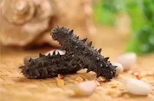 66岁妈妈“白菜价”买回卖五六千一斤的海参，儿子起疑偷偷拿去鉴定……真相震惊