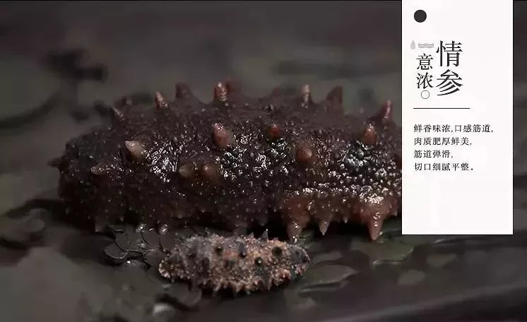 66岁妈妈“白菜价”买回卖五六千一斤的海参，儿子起疑偷偷拿去鉴定……真相震惊