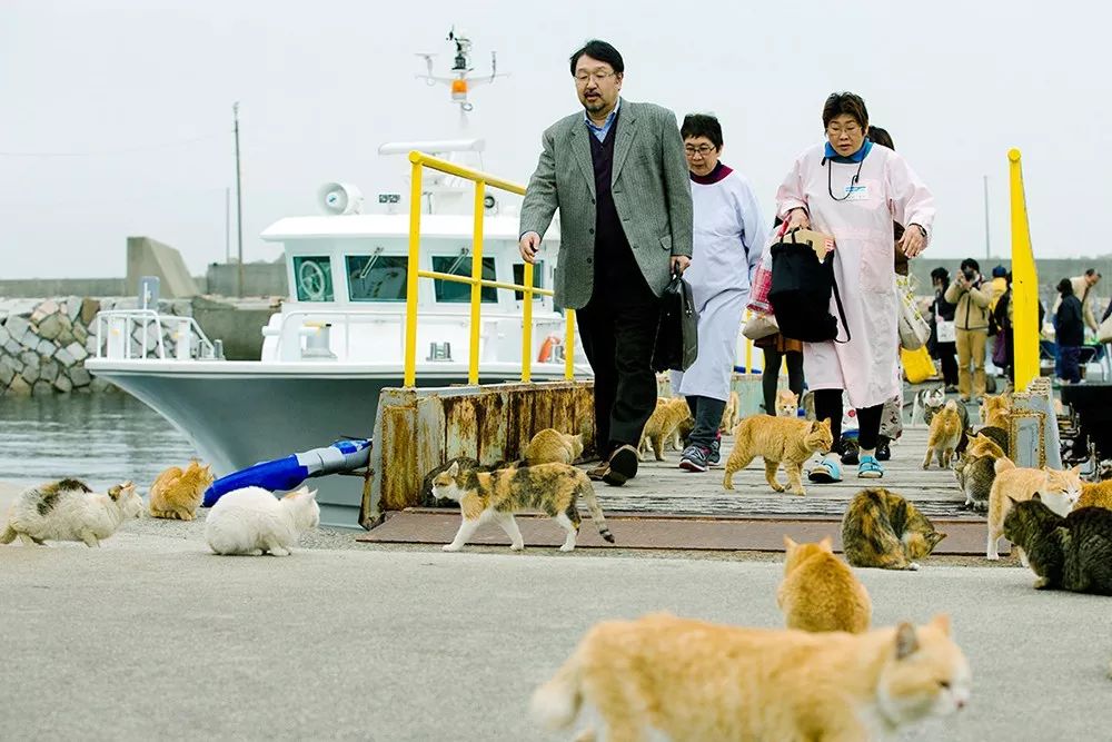 日本最老的温泉,日本最老温泉