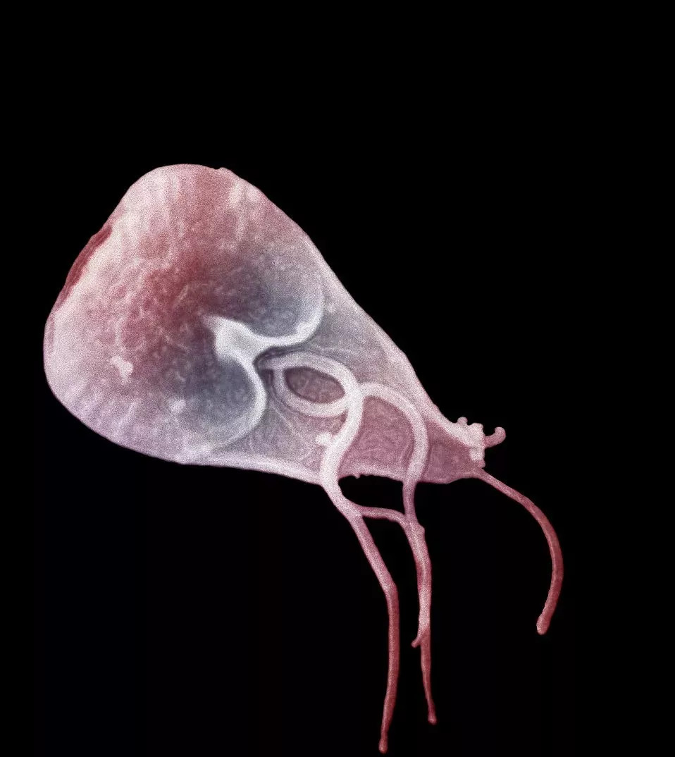 女子发烧42度,女子发烧39.7