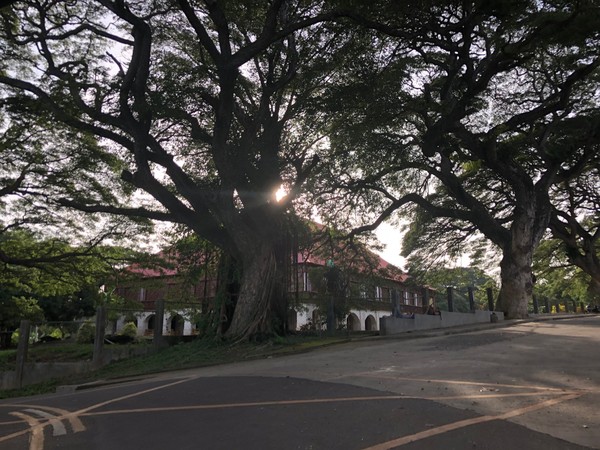 菲律宾自由行住宿雾岛,菲律宾薄荷岛宿务自由行