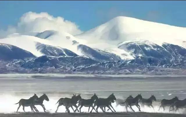 中考英语阅读理解高频词,中考英语高频词总结