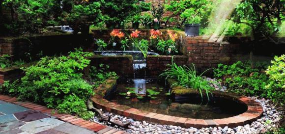 「龟龟环境篇」沼泽过滤(bogfilter):一种原生态水处理技术