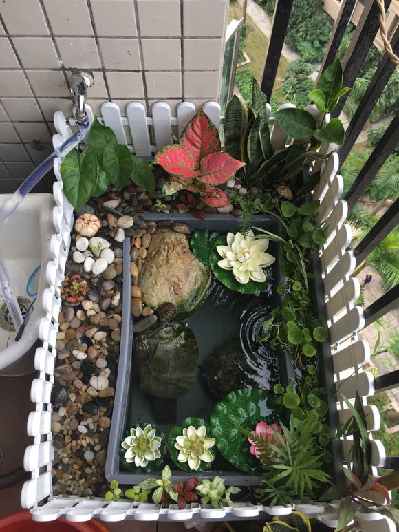 「龟龟环境篇」沼泽过滤(bogfilter):一种原生态水处理技术