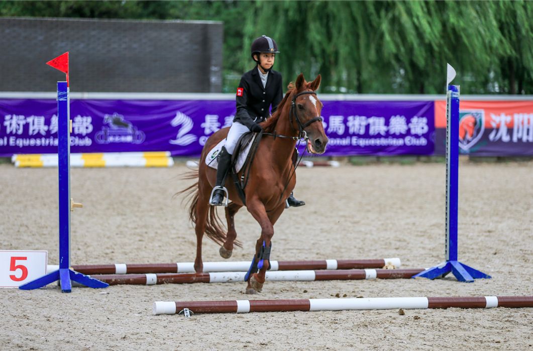 十余家马术俱乐部展开六个级别争夺，东北马术联赛第五站“跳”入辽宁省运会马术项目！