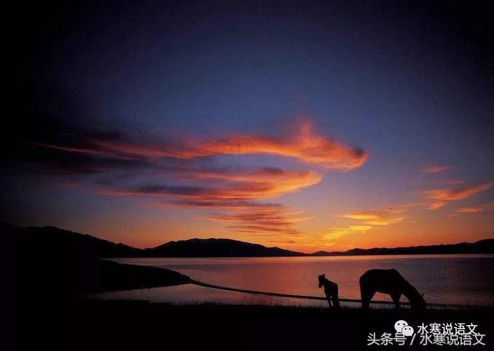 识字教学的语文要素,如何提高识字技巧