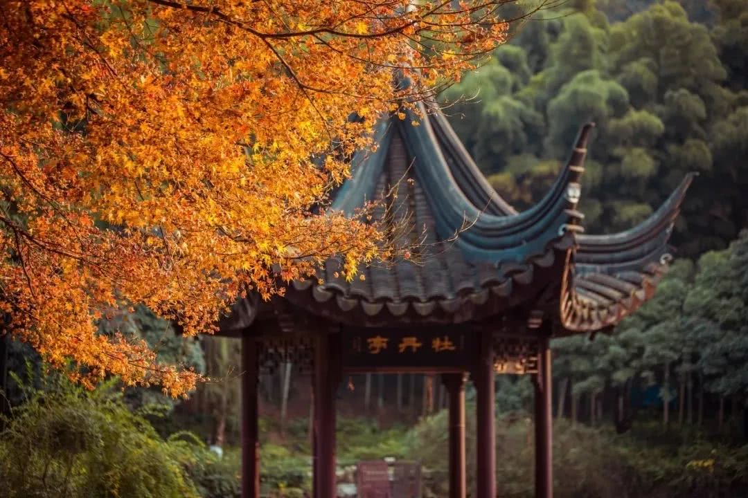 你以为的昆山和真实昆山,关于昆山最新消息