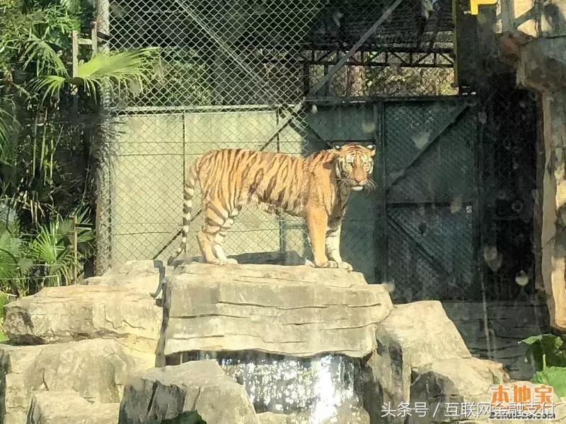 收藏生日快乐,收藏生日纸币