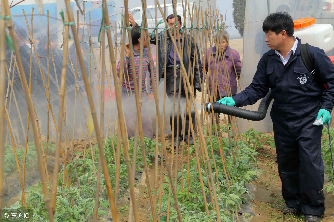 打农药效果和机器有关系吗,打农药有什么用