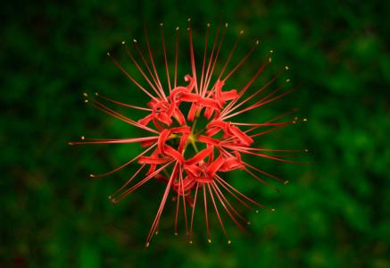 安妮宝贝最暖心短句,安妮宝贝经典语录伤痕文学