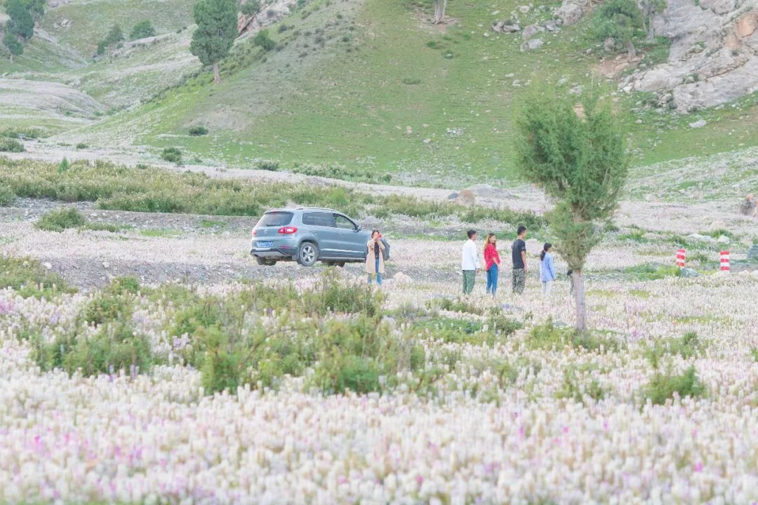 狂野飙车越野,青海穿越美景