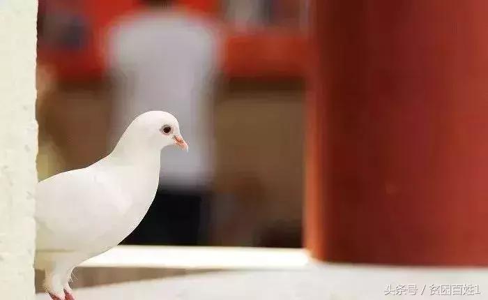 人死后去阴间的全过程,看醒了很多人!