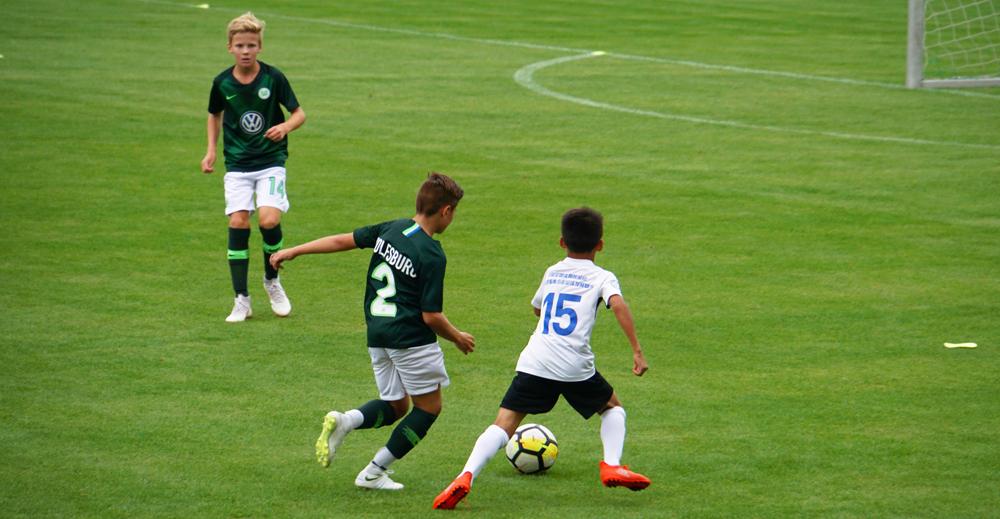 海兹曼,海兹曼2019