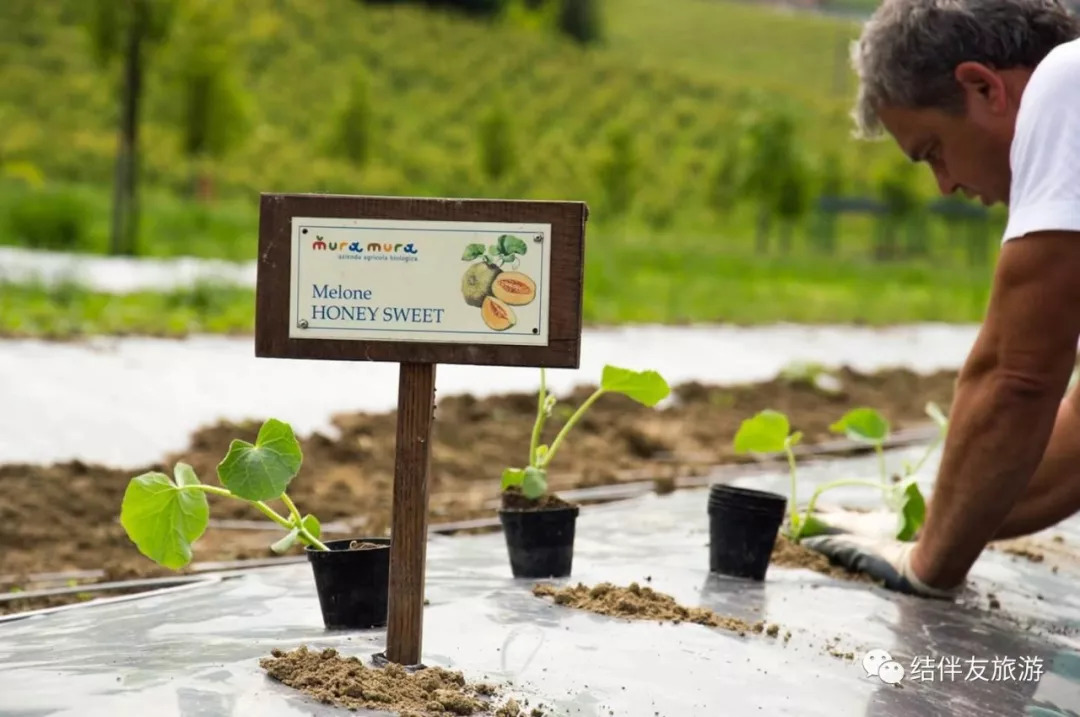 意大利风味冰淇淋,最近很火的冰淇淋意大利