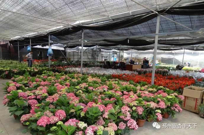 邳州，一个城市的A面和B面！