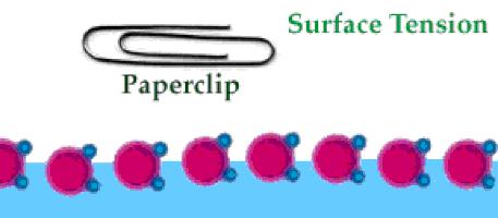 便便时被水溅到屁股怎么办？教你科学压水花，成为厕所王者