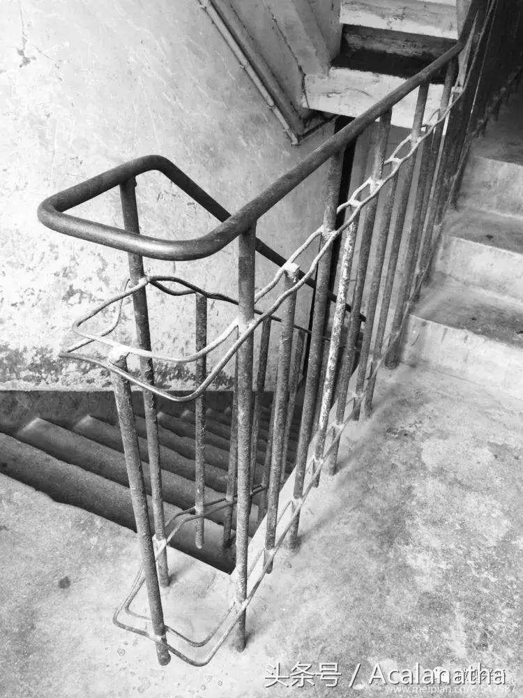 兴平：我的故乡我的云一一70后纤维厂纪事