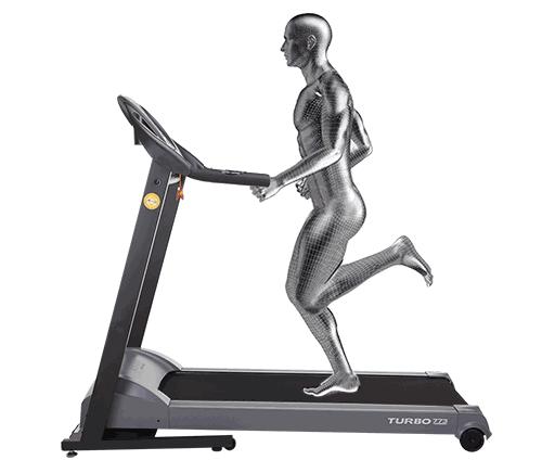 晨跑夜跑到底什么时候跑最好,晨跑和夜跑的最佳时间