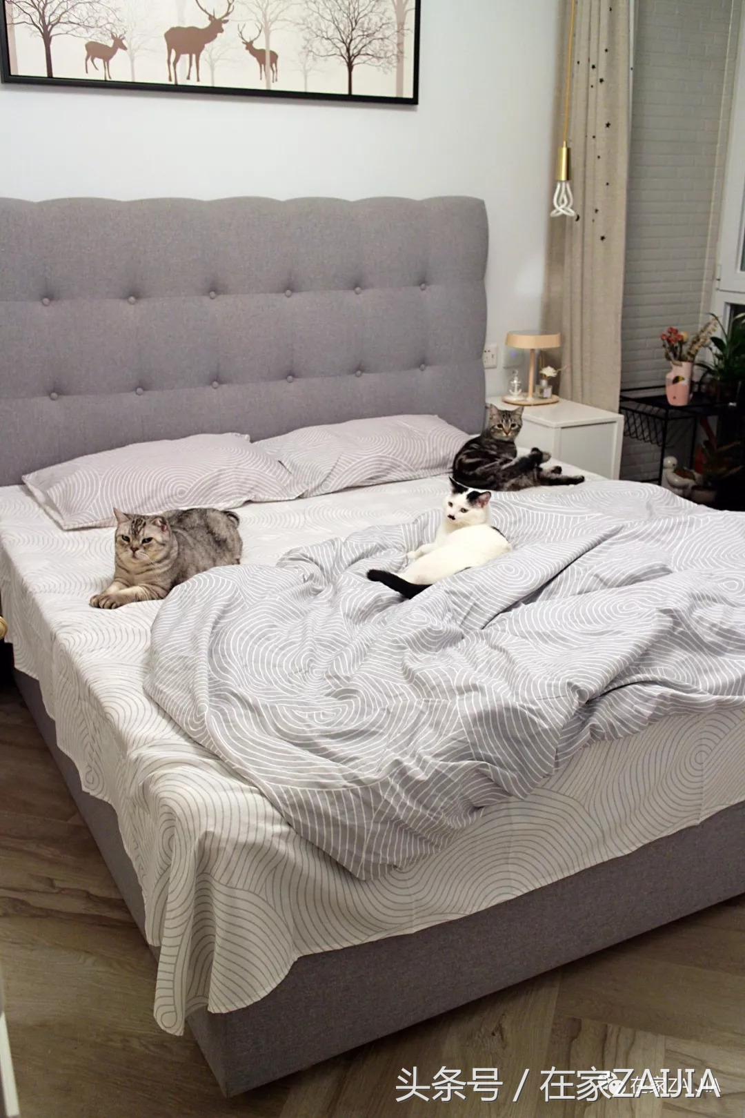 有衣帽间榻榻米的卧室,7平米榻榻米衣帽间