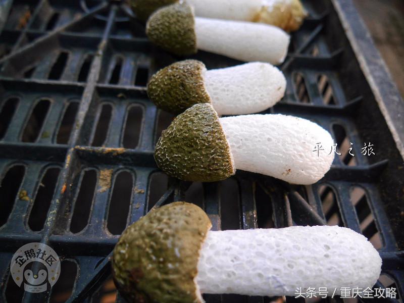 蜀南竹海美食全集,蜀南竹海关于竹子的美食