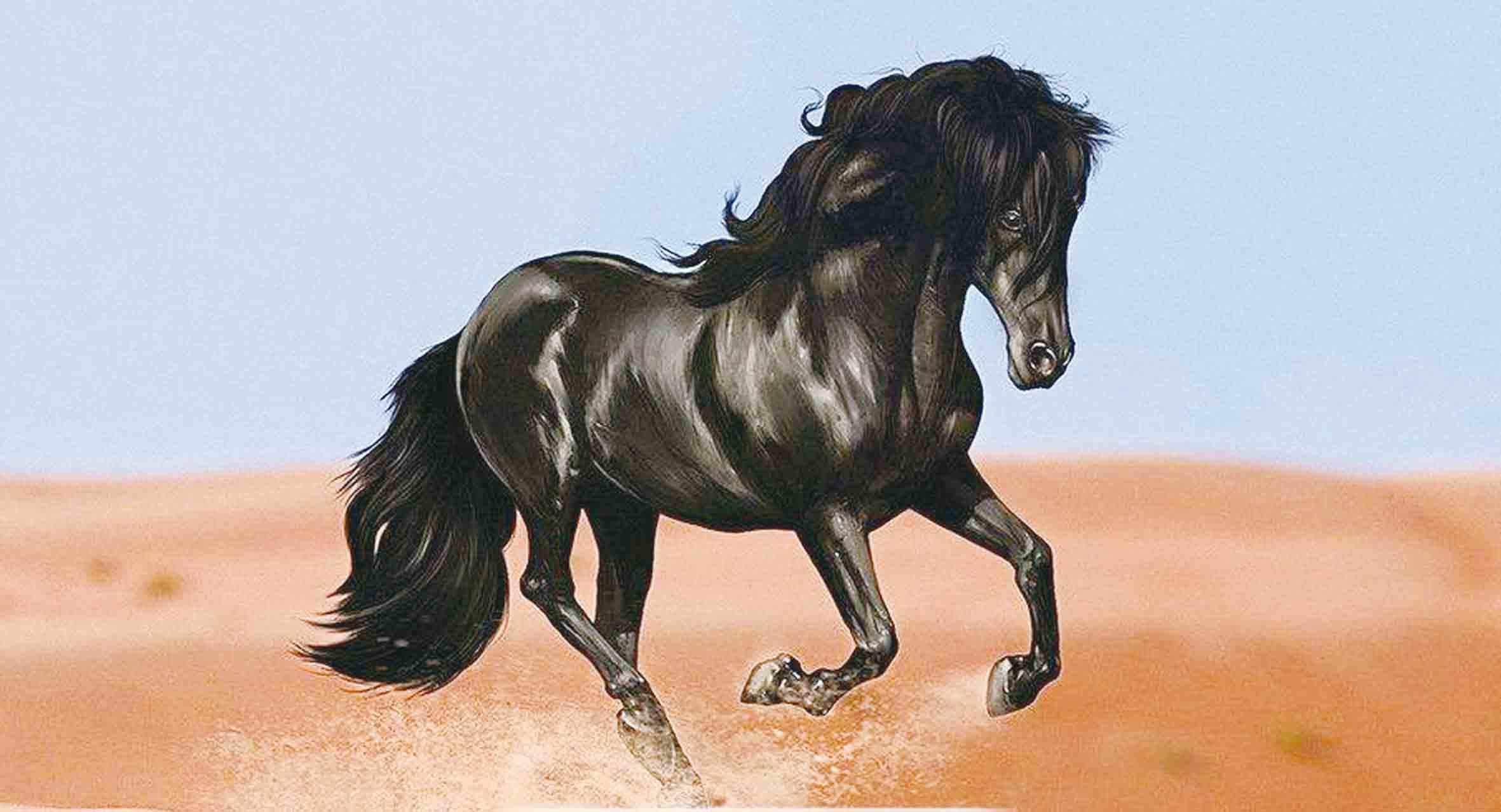 八骏图的八匹马都是什么品种,八骏图的八匹马朝哪个方向最好