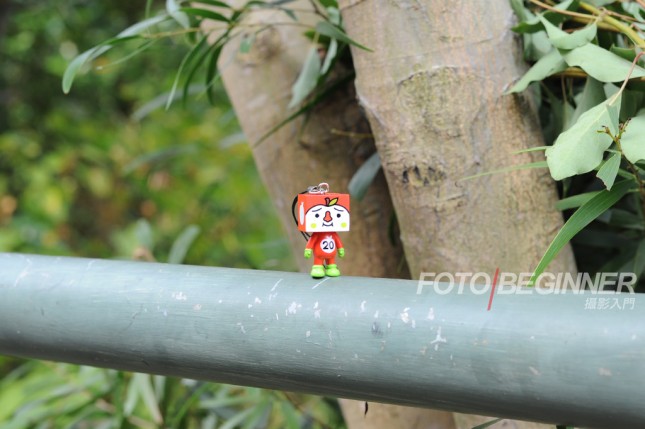 新手必学15个拍摄技巧风景,新手拍照必学15个拍摄技巧