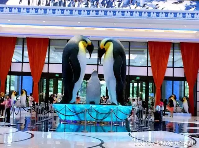 珠海长隆旅游攻略3天自由行,亲子游珠海长隆一日游攻略