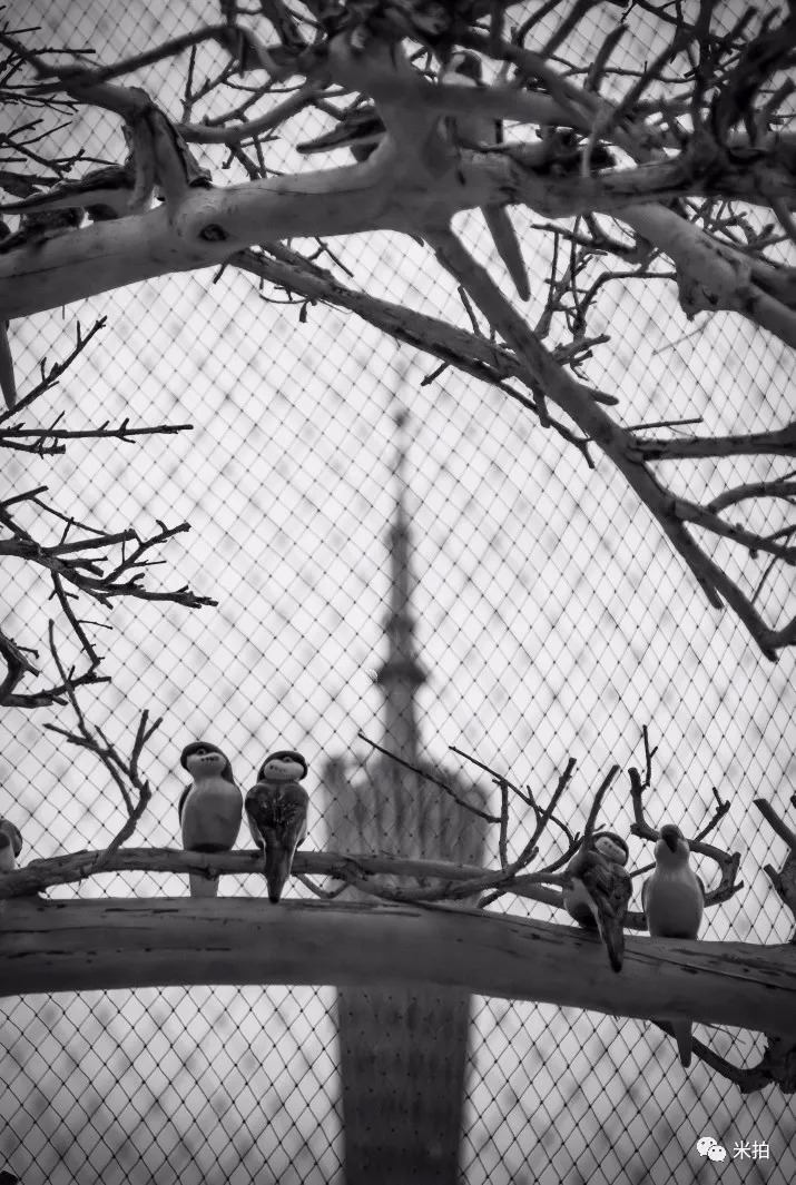 这个夏天，100位年轻的摄影师在这里C位出道！