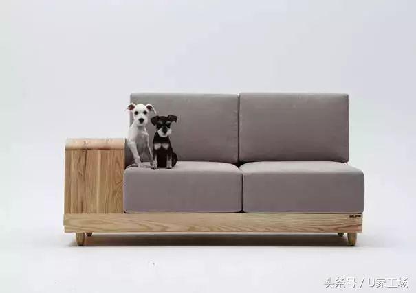 便宜又好用的猫窝有哪些,这六种猫窝你一定买过