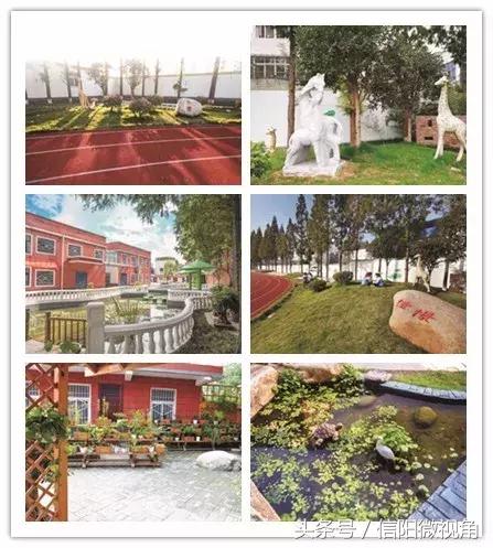 信阳浉河区中考状元,信阳浉河中学2021中考状元