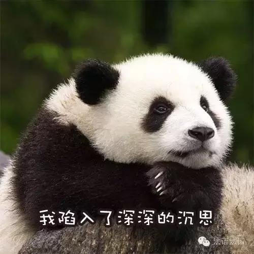 法国历年高考作文题,看到高考作文题