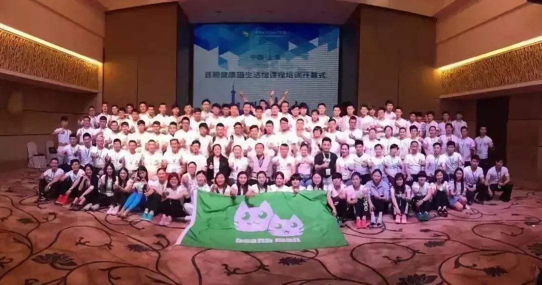 割体育圈的韭菜，“健康猫”的庞氏*局骗**