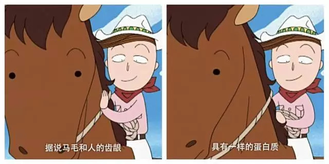 樱桃小丸子的同学花轮有多富有,樱桃小丸子里的花轮同学