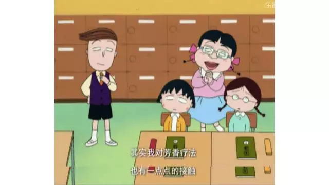 樱桃小丸子的同学花轮有多富有,樱桃小丸子里的花轮同学