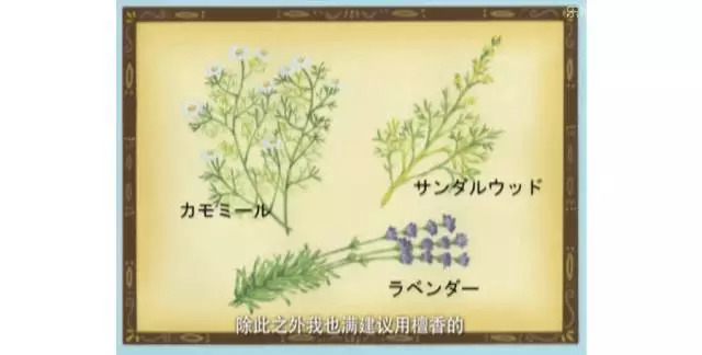 樱桃小丸子的同学花轮有多富有,樱桃小丸子里的花轮同学