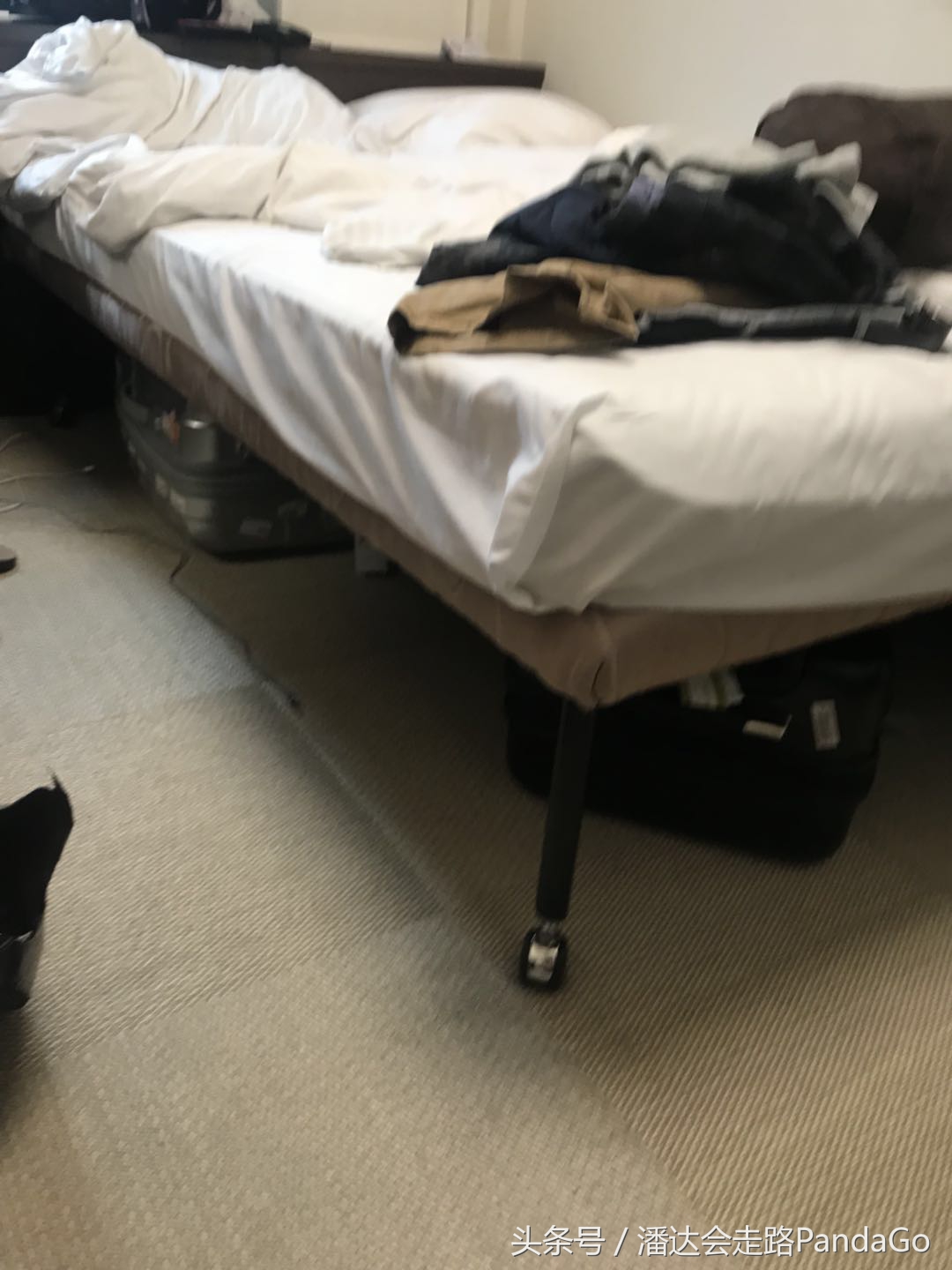 魔都集市代购,魔都代购