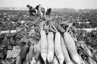 1998年的潍坊，带不走也忘不掉的回忆！二十年前你在做些什么呢？