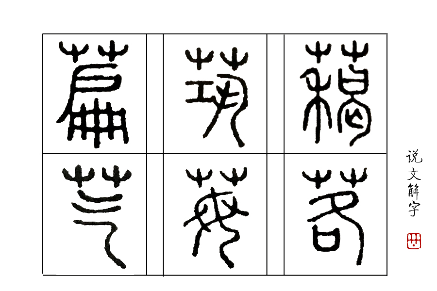 说文解字第222课,说文解字第297课