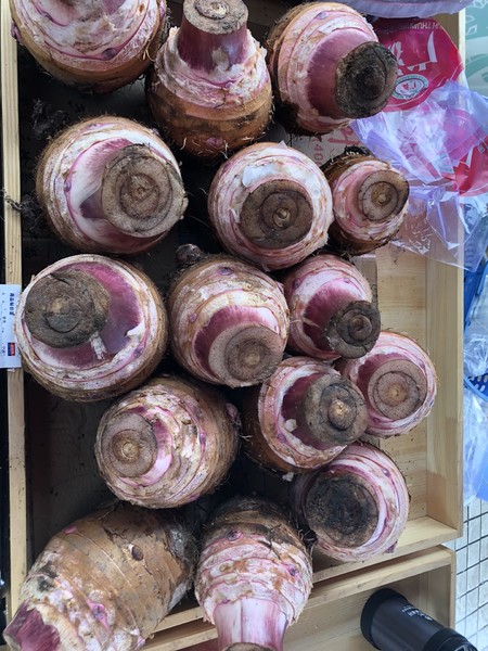 舟山东沙海滨浴场和南沙海滨浴场,追着太阳的脚步去台州