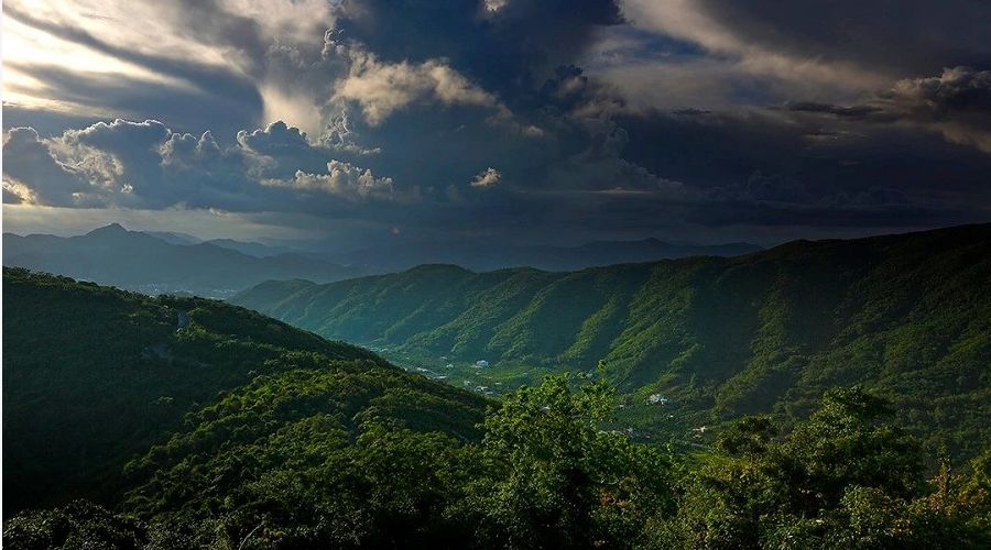 三亚鸟巢森林树屋酒店视频,三亚鸟巢度假村酒店攻略