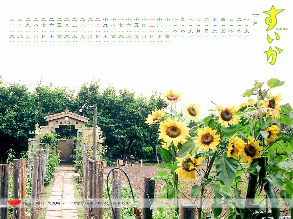 十部最毁三观的日剧,毁三观但又很好看的日剧