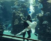 饭后一个动作就能立马排出毒素,饭前多做一个动作预防疾病