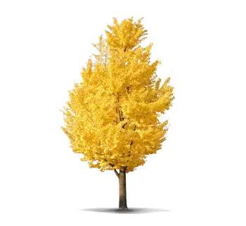 黔西南州公安局交警支队,黔西南州公安交管