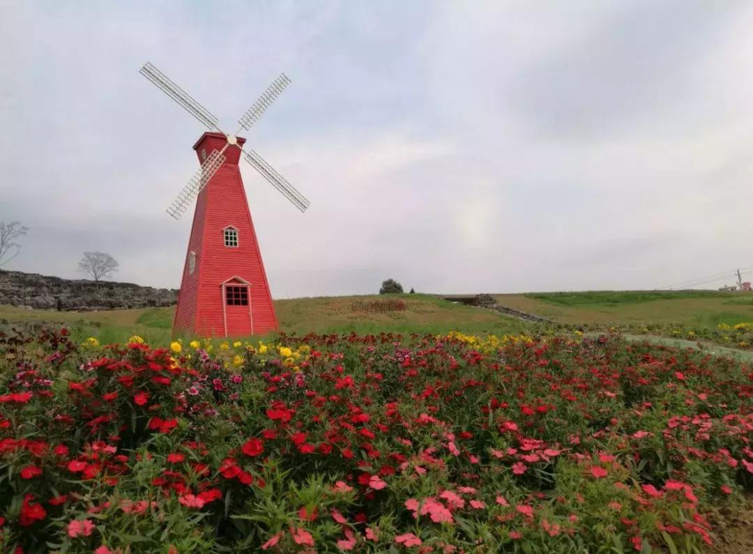 黄山市旅游专线,黄山市坐什么车到黄山风景区