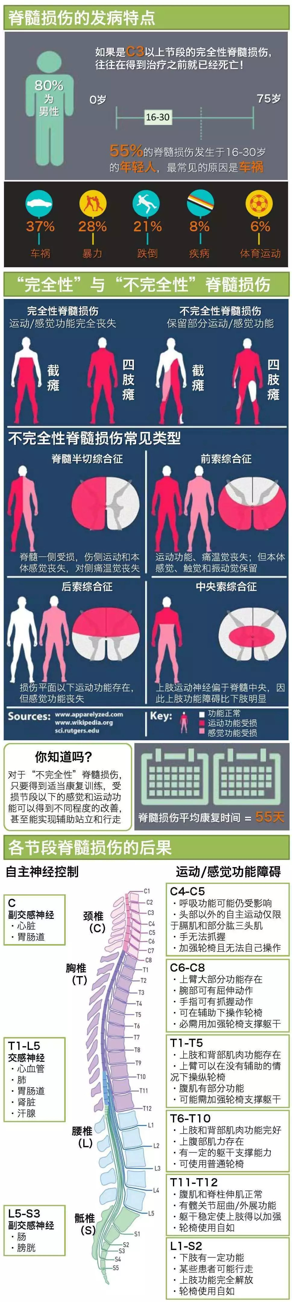 脊髓损伤康复需要针灸推拿吗,脊髓损伤后遗症推拿治疗