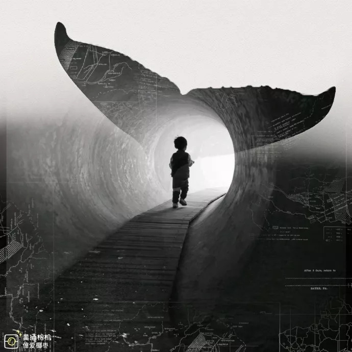 黄油相机有什么用处,黄油相机日常分享图片