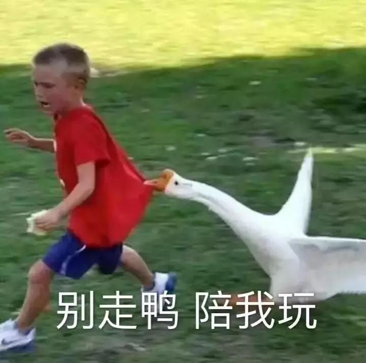 编辑部种草踩雷篇，点开帮你省下一个包包