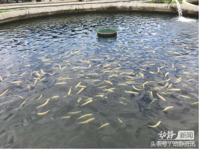 姊靛噣灞辨邯姘撮奔,姊靛噣灞遍緳娲炴硥姘撮奔